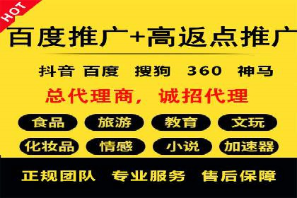 行业专家解析SEM代运营成功案例